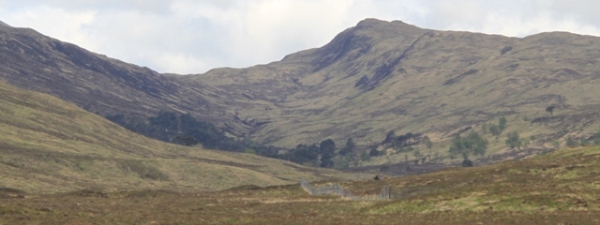 Glen Fuar