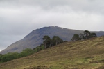 Doire Darach