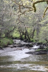 River Orchy